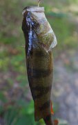 IMG_0402_resize.jpg