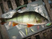 IMG_0705.JPG