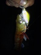 11062012540.jpg