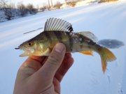 DSC00660.JPG
