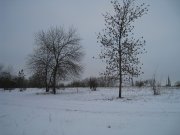 19-12 002.jpg