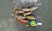 20122012697.jpg