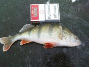 DSC05672.JPG
