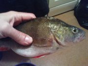 DSC05703.JPG