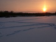 IMG_0044.jpg