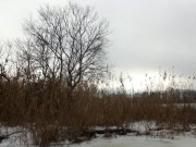 IMG_0050.jpg