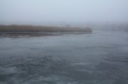 IMG_4211.jpg