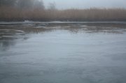IMG_4215.jpg