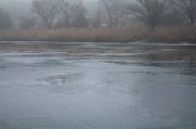 IMG_4216.jpg
