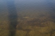 DSC_0042.jpg