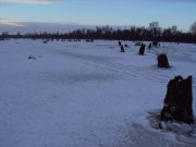 DSC05090.JPG