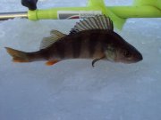 DSC05092.JPG