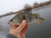 DSC00688.JPG