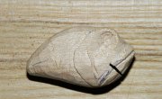 IMG_20130104_045247.jpg