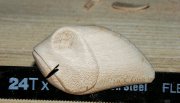 IMG_20130104_045429.jpg