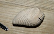 IMG_20130104_045658.jpg