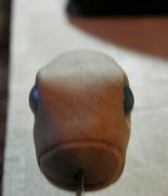 IMG_20130104_050310.jpg