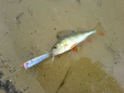 DSC00034.JPG
