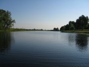 IMG_0330.jpg