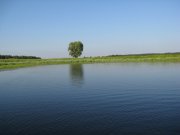 IMG_0331.jpg