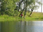 IMG_0333.jpg