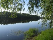 IMG_0340.jpg