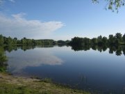IMG_0338.jpg