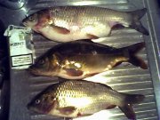 29-06-08_212605.jpg