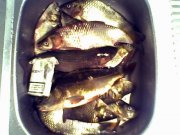 29-06-08_212418.jpg