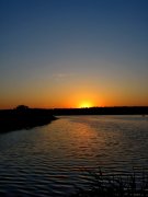 IMG_6415.jpg