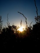 IMG_6435.jpg