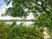 IMG_6443.jpg