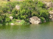 IMG_6485.jpg