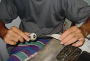 IMG_2265.JPG