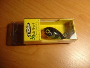 DSC03379.jpg
