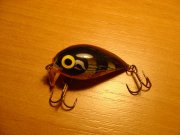 DSC03380.jpg