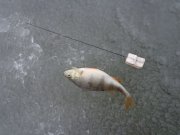 DSC00691.JPG