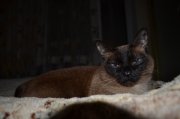 DSC_0043.jpg