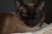 DSC_0048.jpg