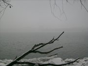IMG_0175.JPG