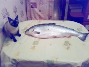 070120132273.jpg