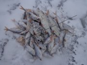 DSC00700.JPG