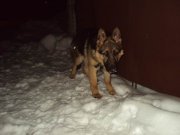 DSC05113.JPG