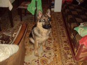 DSC05117.JPG