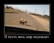 пауза.jpg