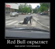 окрыляет.jpg