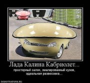калина.jpg