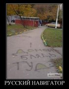 навик.jpg