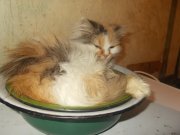 Изображение 023.jpg