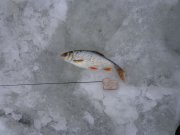 DSC00716.JPG
